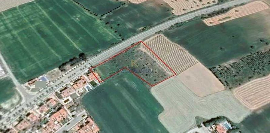 6066m² Land à Mazotos, Cyprus No. 41943