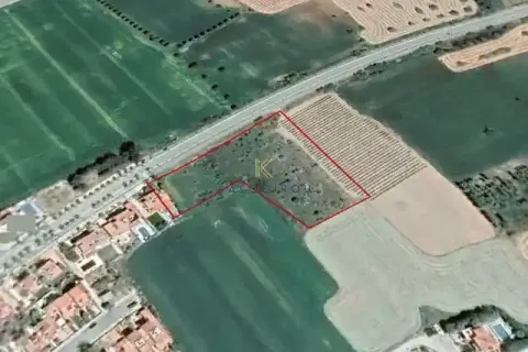 6066m² Land in Mazotos, Cyprus No. 41943 1