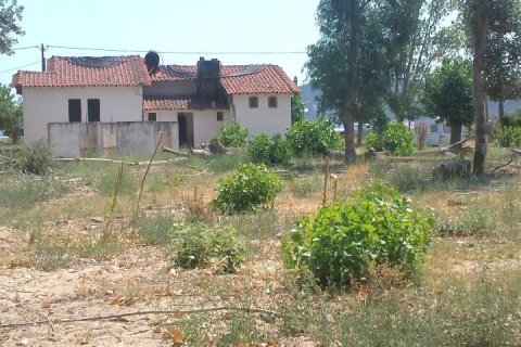 5157m² Land in Chalkidiki, Greece No. 54608 8