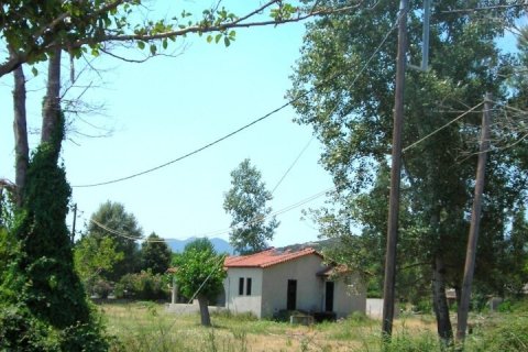 5157m² Land en Chalkidiki, Greece No. 54608 7