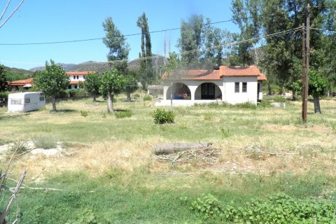 5157m² Land in Chalkidiki, Greece No. 54608 4