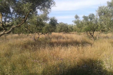 Land à Zakynthos, Greece No. 24654 5