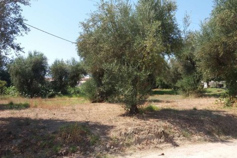 Land in Zakynthos, Greece No. 24655 2