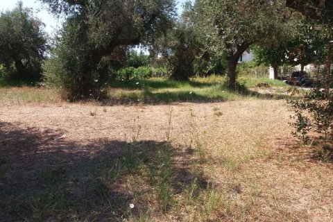 Land in Zakynthos, Greece No. 24655 6