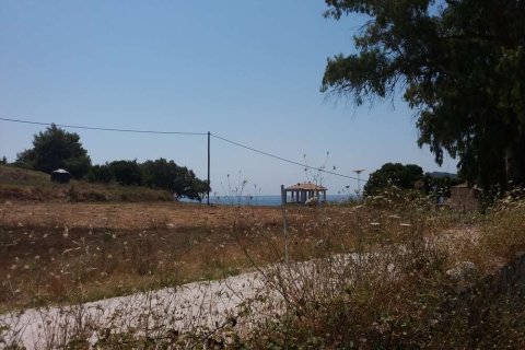 Land in Zakynthos, Greece No. 24655 11