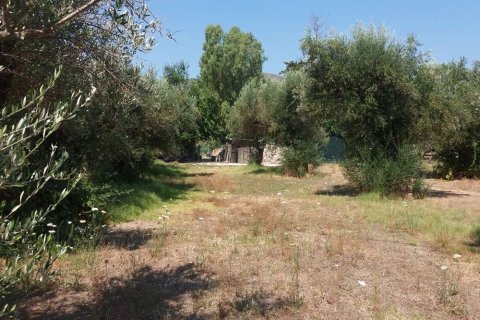 Land in Zakynthos, Greece No. 24655 9