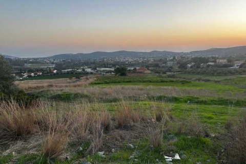 12710m² Land en Pyrgos, Cyprus No. 73952 1