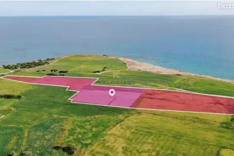 36456m² Land in Mazotos, Cyprus No. 46976 2