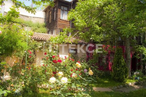 12+3 Villa in Istanbul, Turkey No. 12773 24