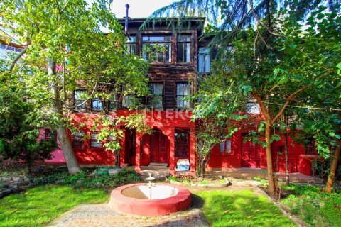 12+3 Villa in Istanbul, Turkey No. 12773 1