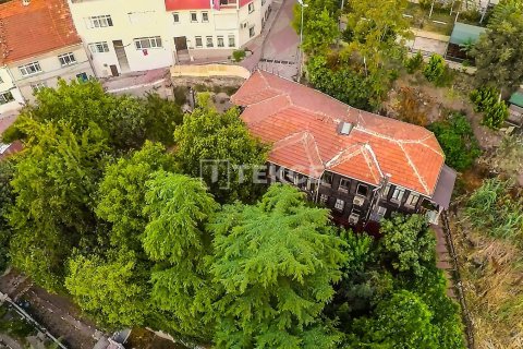 12+3 Villa in Istanbul, Turkey No. 12773 21