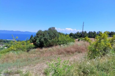 11000m² Land à Chalkidiki, Greece No. 58689 2