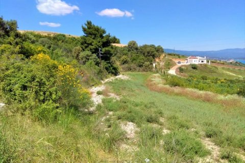 11000m² Land à Chalkidiki, Greece No. 58689 3