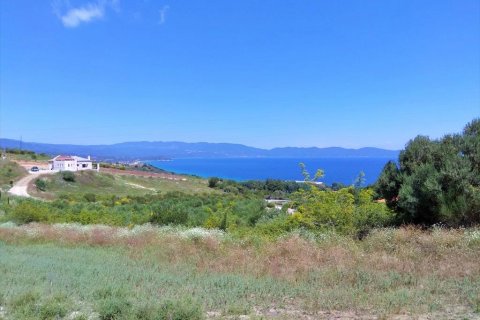 11000m² Land in Chalkidiki, Greece No. 58689 1