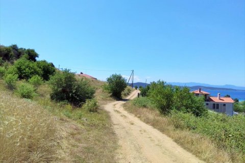 13115m² Land en Chalkidiki, Greece No. 58690 1