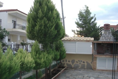 330m² Business in Chalkidiki, Greece No. 58688 6