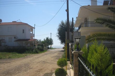 330m² Business in Chalkidiki, Greece No. 58688 5