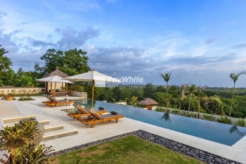 7 bedrooms Villa in Pecatu, Indonesia No. 22893 3