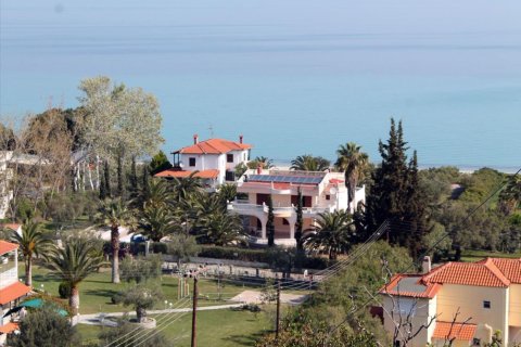 6 rooms Villa in Chalkidiki, Greece No. 48762 3