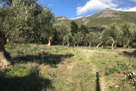 3660m² Land en Vilia, Greece No. 55247 4