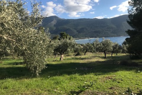 3660m² Land en Vilia, Greece No. 55247 2