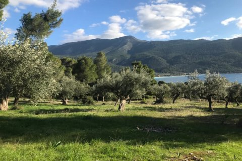 3660m² Land à Vilia, Greece No. 55247 1