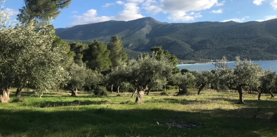 3660m² Land à Vilia, Greece No. 55247