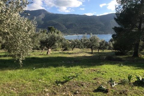 3660m² Land à Vilia, Greece No. 55247 6