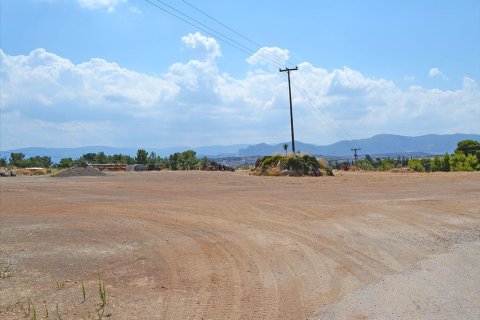 9950m² Land en Loutraki, Greece No. 59478 3