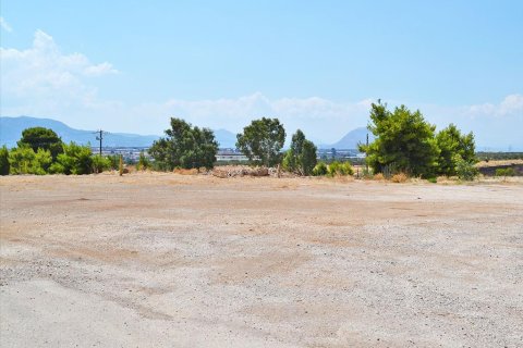 9950m² Land in Loutraki, Greece No. 59478 2