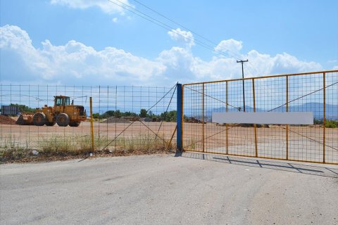 9950m² Land in Loutraki, Greece No. 59478 1