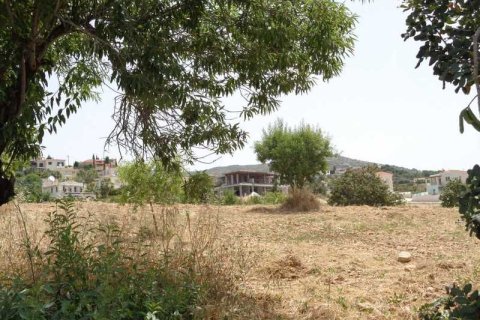 5450m² Land à Tala, Cyprus No. 41588 1