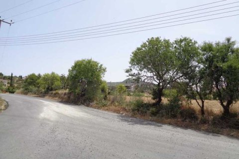 5450m² Land à Tala, Cyprus No. 41588 2