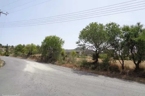 5450m² Land en Tala, Cyprus No. 41588 2