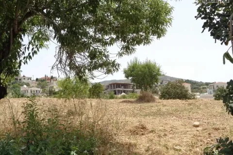 5450m² Land à Tala, Cyprus No. 41588 1