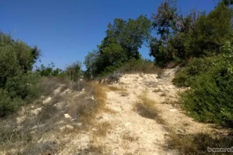 6247m² Land à Tala, Cyprus No. 41589 2