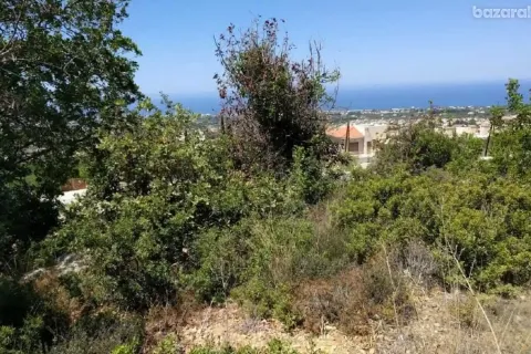 6247m² Land in Tala, Cyprus No. 41589 1