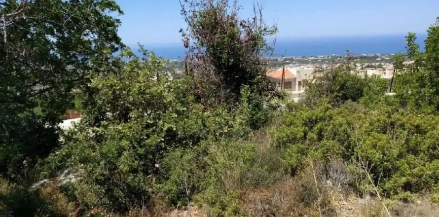 6247m² Land à Tala, Cyprus No. 41589