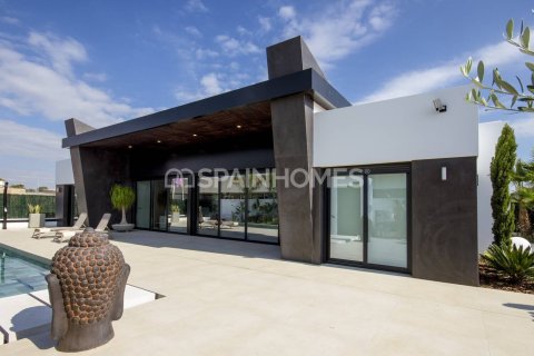 3 bedrooms Villa in Rojales, Spain No. 25759 7