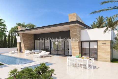 3 bedrooms Villa in Rojales, Spain No. 25759 6