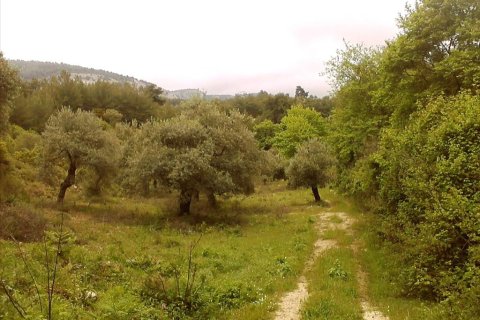 4500m² Land in Thasos, Greece No. 60400 4