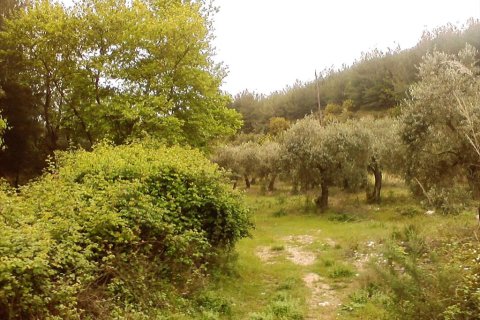 4500m² Land en Thasos, Greece No. 60400 1