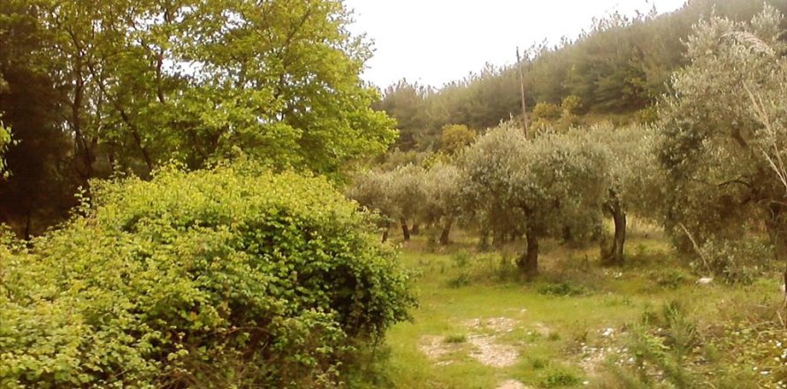 4500m² Land à Thasos, Greece No. 60400