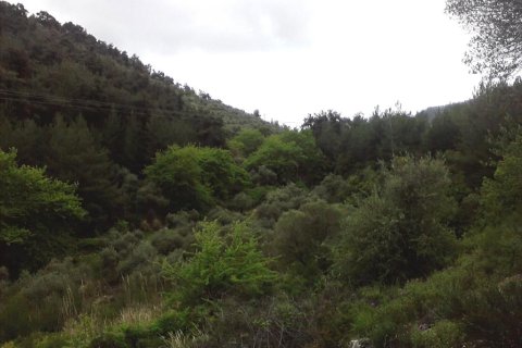 4500m² Land à Thasos, Greece No. 60400 2