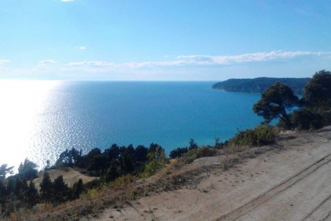 11875m² Land en Chalkidiki, Greece No. 60404 1