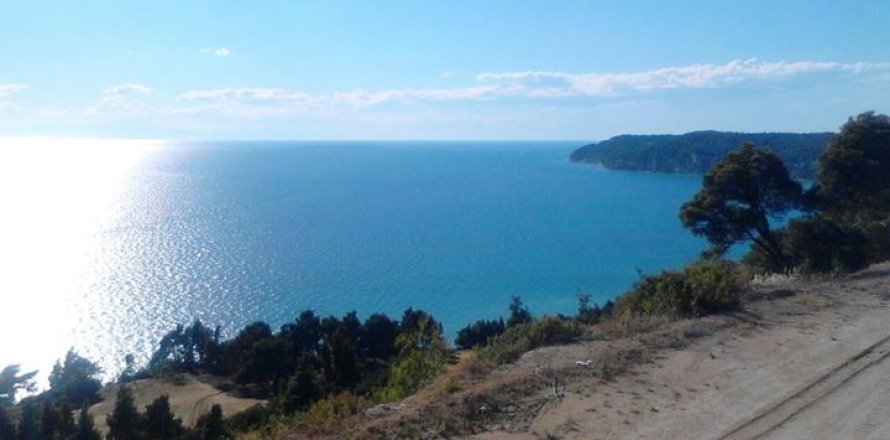 11875m² Land in Chalkidiki, Greece No. 60404