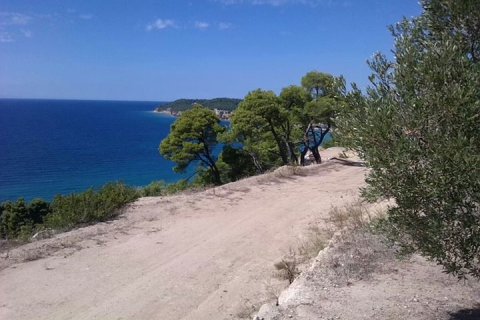 11875m² Land in Chalkidiki, Greece No. 60404 2