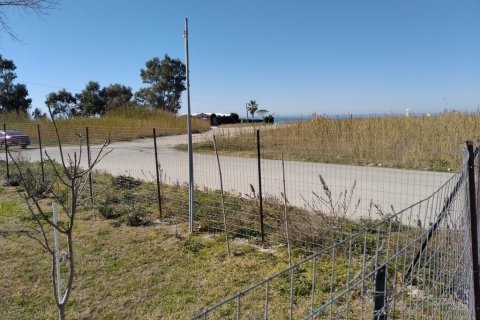 1154m² Land in Chalkidiki, Greece No. 55625 4