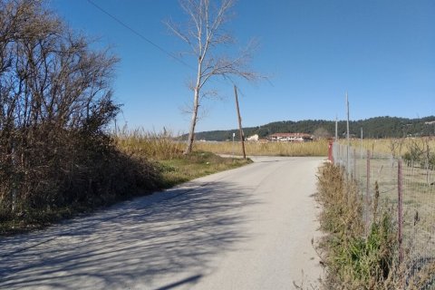 1154m² Land à Chalkidiki, Greece No. 55625 3