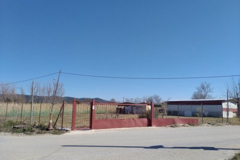 1154m² Land à Chalkidiki, Greece No. 55625 8